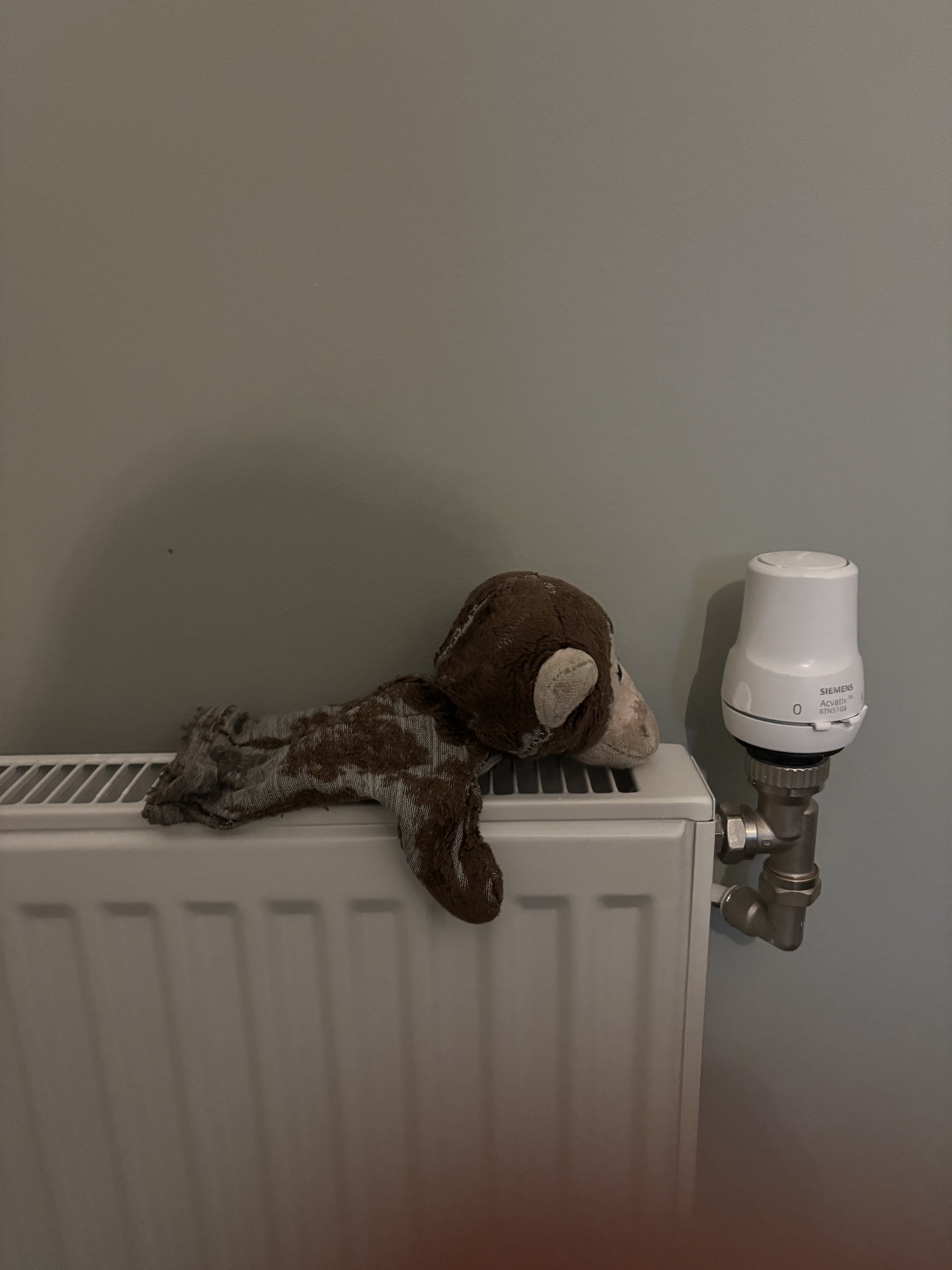 Softy enjoying bath time